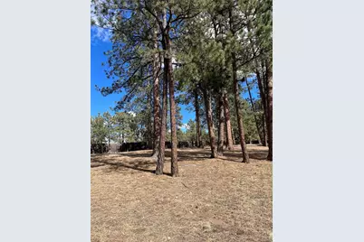 0 Pawnee Road, Indian Hills, CO 80454 - Photo 2