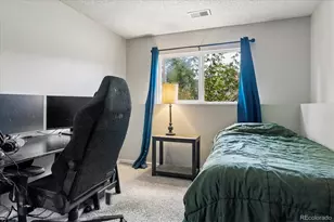 16655 Ninebark Way, Parker, CO 80134 - Photo 6