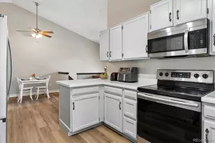 16655 Ninebark Way, Parker, CO 80134 - Photo 4