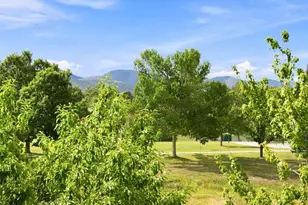 7943 W Friend Dr, Littleton, CO 80128 - Photo 38