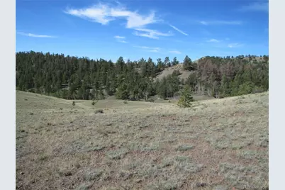 227 Keechi Road, Hartsel, CO 80449 - Photo 6