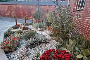 943 N Emerson Street, Denver, CO 80218 - Photo 16