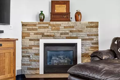796 Alpine Road, Dillon, CO 80435 - Photo 16