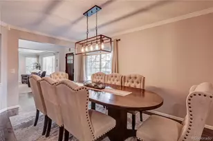 7305 Meadow View, Parker, CO 80134 - Photo 6