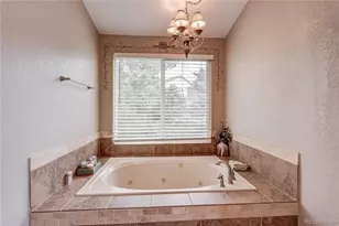7305 Meadow View, Parker, CO 80134 - Photo 22