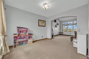 16631 Tree Haven St, Hudson, CO 80642 - Photo 10