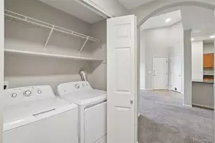 10787 Twenty Mile Road, Parker, CO 80134 - Photo 30