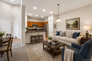 10787 Twenty Mile Road, Parker, CO 80134 - Photo 16