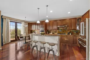 11561 S Flower Mound Way, Parker, CO 80134 - Photo 10