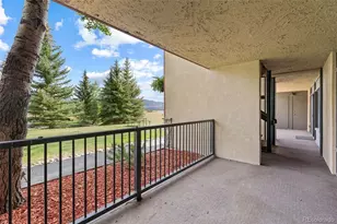 1127 9000 Divide Road, Frisco, CO 80443 - Photo 32