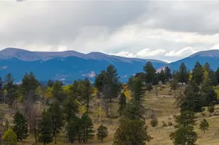 12464 S US Hwy 285, Conifer, CO 80433 - Photo 36