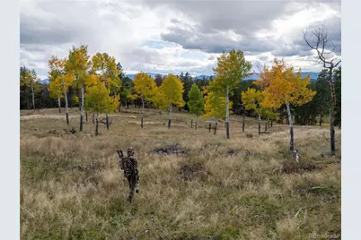 12464 S US Hwy 285, Conifer, CO 80433 - Photo 28