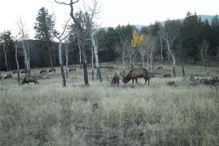12464 S US Hwy 285, Conifer, CO 80433 - Photo 32
