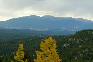 12464 S US Hwy 285, Conifer, CO 80433 - Photo 38