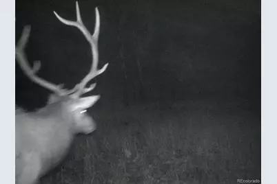 12464 S US Hwy 285, Conifer, CO 80433 - Photo 6