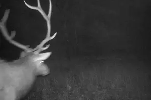 12464 S US Hwy 285, Conifer, CO 80433 - Photo 6