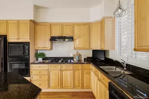 335 Josephine St, Denver, CO 80206 - Photo 12