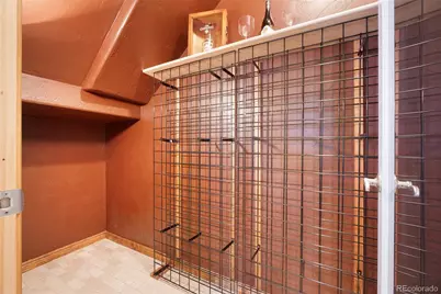 1977 Champions Circle, Castle Rock, CO 80104 - Photo 34