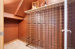 1977 Champions Cir, Castle Rock, CO 80104 - Photo 34