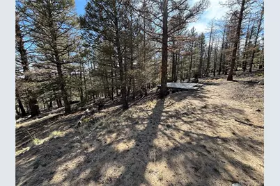 1980 Pitchfork Road, Hartsel, CO 80449 - Photo 2