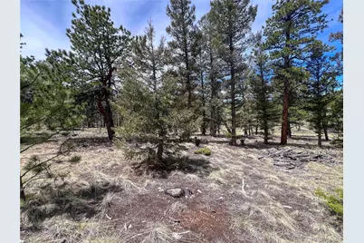 1980 Pitchfork Road, Hartsel, CO 80449 - Photo 4