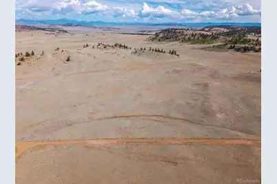 4429 Shawnee Trail, Hartsel, CO 80449 - Photo 8