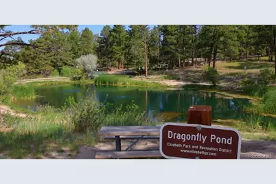 3475 Kingston Crest Trail, Elizabeth, CO 80107 - Photo 10