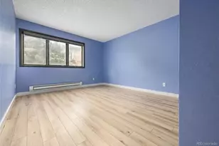 93 Doc Susie Ave, Fraser, CO 80442 - Photo 10