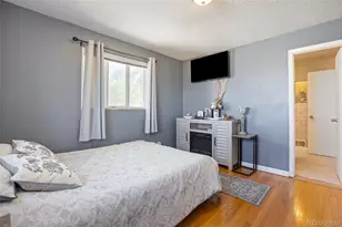 8671 Richard Rd, Denver, CO 80229 - Photo 14
