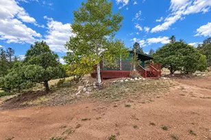 3455 Bird Point Dr, Cotopaxi, CO 81223 - Photo 4
