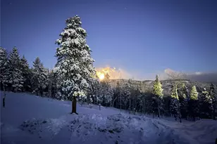 2700 Church Placer Rd, Central City, CO 80427 - Photo 30