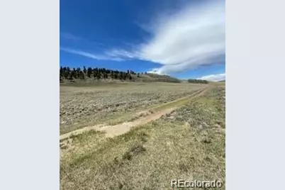 00 Coochie, Hartsel, CO 80449 - Photo 6