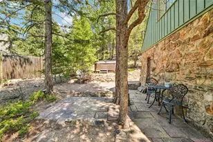11793 Braun Way, Conifer, CO 80433 - Photo 8