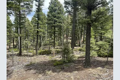 357 Big Horn, Manitou Springs, CO 80829 - Photo 6