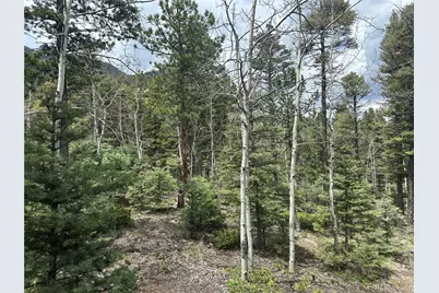 357 Big Horn, Manitou Springs, CO 80829 - Photo 10