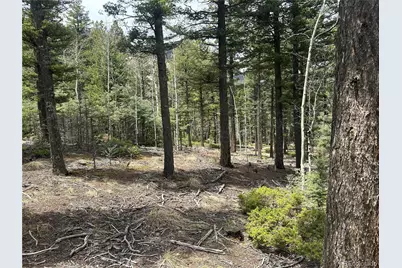 357 Big Horn, Manitou Springs, CO 80829 - Photo 2