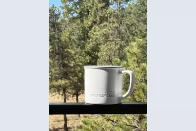 408 Stage Coach Lane, Bailey, CO 80421 - Photo 44