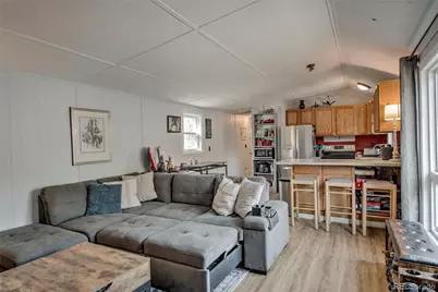 56 Magnum Bonum Drive, Breckenridge, CO 80424 - Photo 8