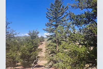 481 Ramrod Way, Como, CO 80432 - Photo 14