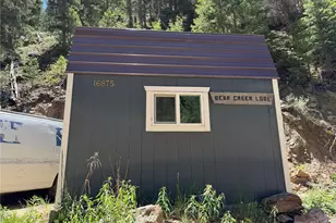854 Old Little Bear Creek Rd, Idaho Springs, CO 80452 - Photo 22