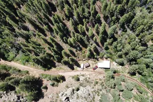 854 Old Little Bear Creek Rd, Idaho Springs, CO 80452 - Photo 26