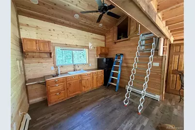 854 Old Little Bear Creek Road, Idaho Springs, CO 80452 - Photo 2