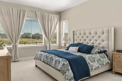 3115 Carabiner Street, Castle Rock, CO 80108 - Photo 16