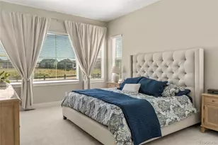 3115 Carabiner St, Castle Rock, CO 80108 - Photo 16