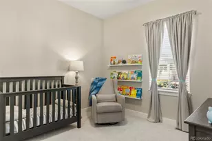 3115 Carabiner St, Castle Rock, CO 80108 - Photo 22