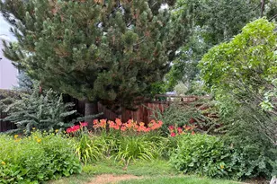 12180 W Little Haystack Mountain, Littleton, CO 80127 - Photo 46