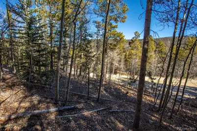 431 N Aspen Street, Alma, CO 80420 - Photo 12