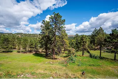 153 Chickadee Lane, Bailey, CO 80421 - Photo 34