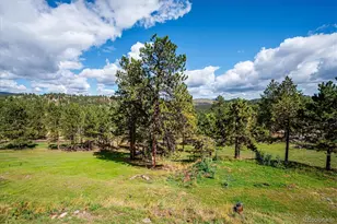 153 Chickadee Ln, Bailey, CO 80421 - Photo 34