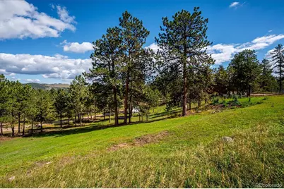153 Chickadee Lane, Bailey, CO 80421 - Photo 38